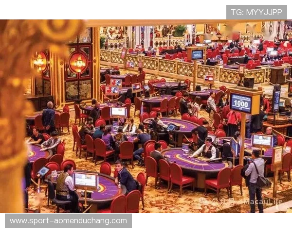 澳门金龙娱乐场安全保障措施，确保每位宾客的娱乐体验安心无忧