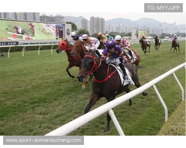 hkjc中文站：利用香港赛马会中文站享受快捷可靠的在线投注与赛事分析体验