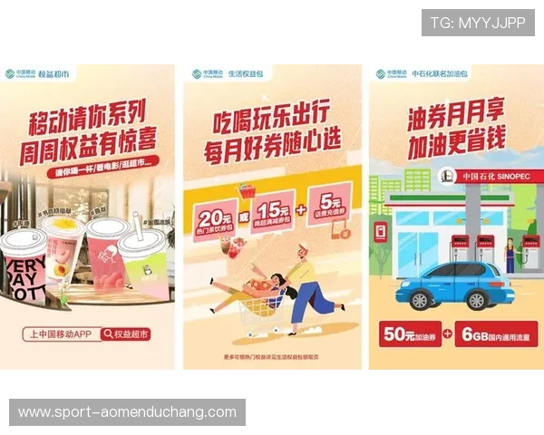 ob真人厅全站登录成功后可以获取哪些平台权益，全面解析会员专属福利体验