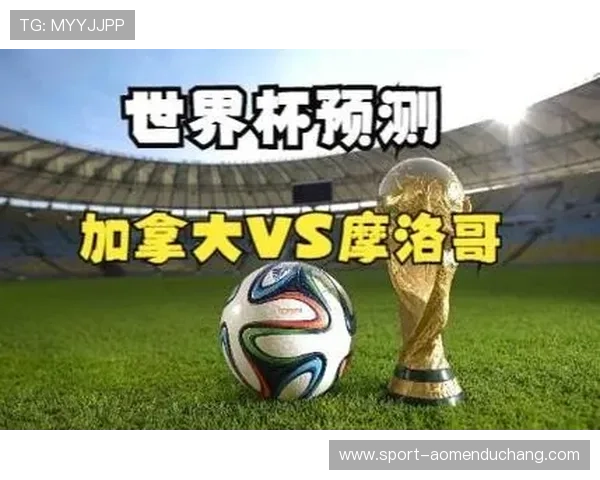 世界杯瑞士加拿大旅行攻略：详尽介绍比赛期间的住宿推荐与周边旅游景点攻略